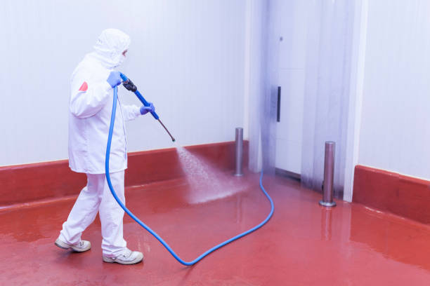 Best Soft Washing  in Brookneal, VA